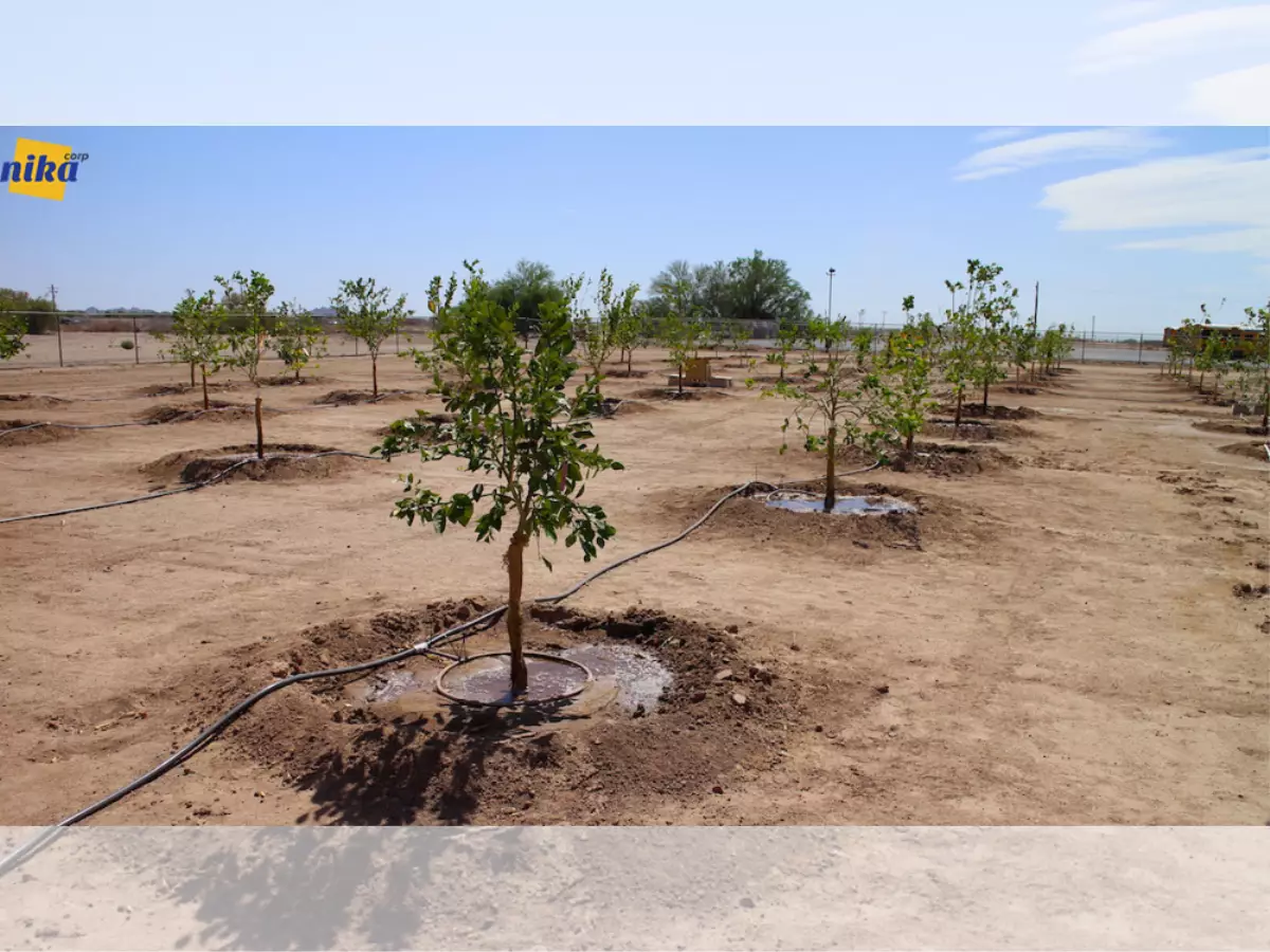 سیستم آبیاری درختان میوه